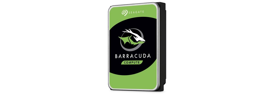 Lot De 2 Disques Durs 40 Go 3,5" — Interface IDE/ATA, Marque Seagate (Occasion Fonctionnels)