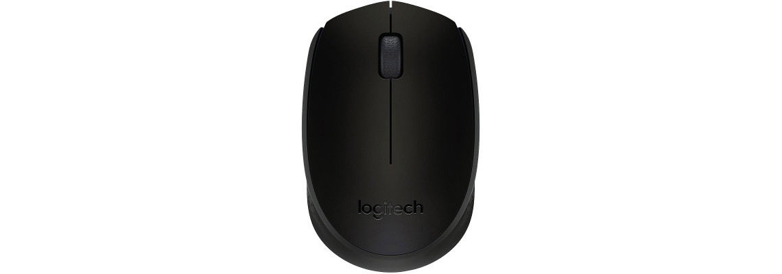 Logitech M171 Wireless Mouse (Noir)
