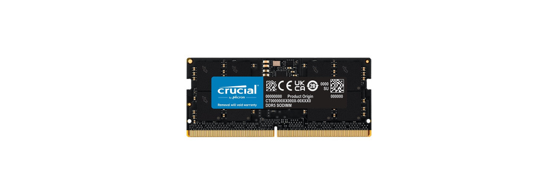 Boîtier De Transport Et Rangement Pour Modules RAM DDR4/DDR5 - Pratique Et Protecteur