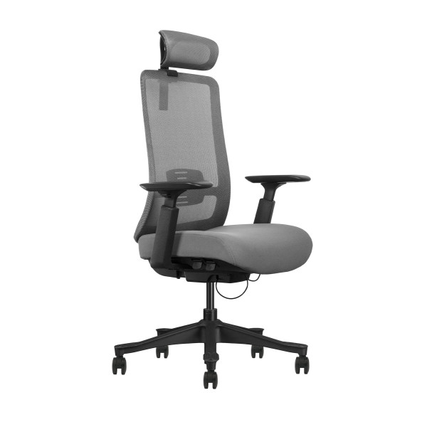 SKILLCHAIRS V1-BH-02 Chaise ergonomique SKILLCHAIRS, Ultra Pc Gamer Maroc