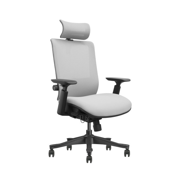 SKILLCHAIRS SM6F-BH (Gray) Chaise ergonomique SKILLCHAIRS, Ultra Pc Gamer Maroc