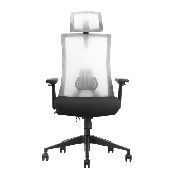 SKILLCHAIRS Ergo Riviera Black Chaise ergonomique SKILLCHAIRS, Ultra Pc Gamer Maroc