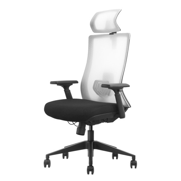 SKILLCHAIRS Ergo Riviera Black Chaise ergonomique SKILLCHAIRS, Ultra Pc Gamer Maroc