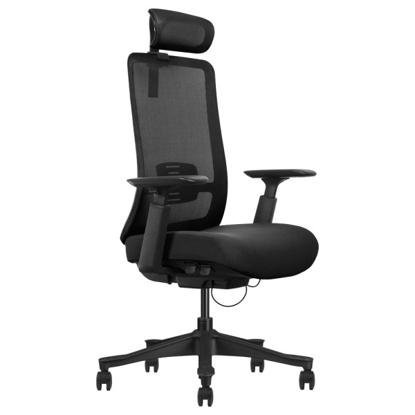 SKILLCHAIRS Ergo Diva Chaise ergonomique SKILLCHAIRS, Ultra Pc Gamer Maroc