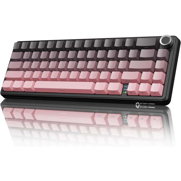 ATTACK SHARK X66 Blackberry (Blueberry Switch) Claviers ATTACK SHARK, Ultra Pc Gamer Maroc