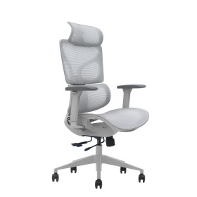 SKILLCHAIRS Ergo Calista (Grey) Chaise ergonomique SKILLCHAIRS, Ultra Pc Gamer Maroc